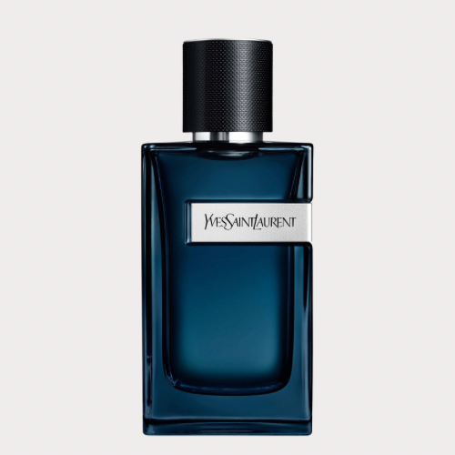 YSL Y Intense