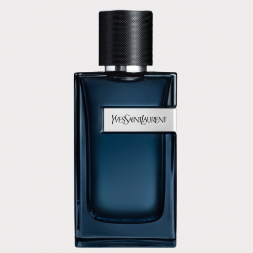 YSL Y Intense